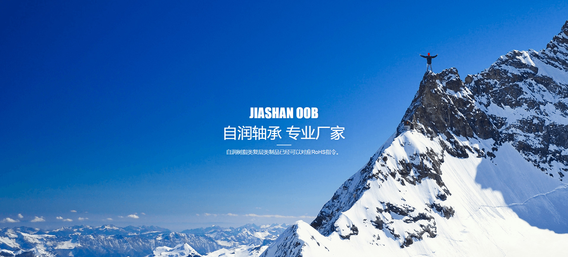 自润轴承 专业厂家